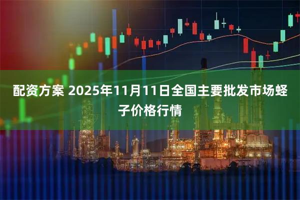 配资方案 2025年11月11日全国主要批发市场蛏子价格行情